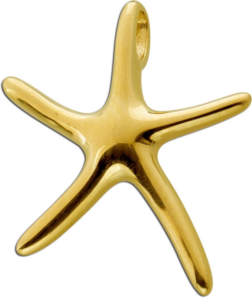 Seestern Anhänger Gelbgold 333 8 Karat