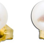 Perlen Ohrringe Gelbgold 585 14 Karat Süßwasserzuchtperlen 6mm