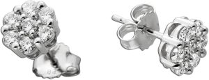 Diamant Ohrstecker 0.75ct Weissgold 585 14K Lab Grown Diamanten IGI