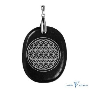 Schungit Anhänger Silber 925 schwarzer Schungit Blume des Lebens Gravur