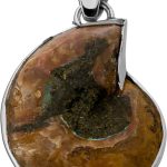 Ammonit Designeranhänger Silber 925 Fossil Edelstein 17.0ct