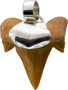 Haifischzahn Anhänger Silber 925 Fossil