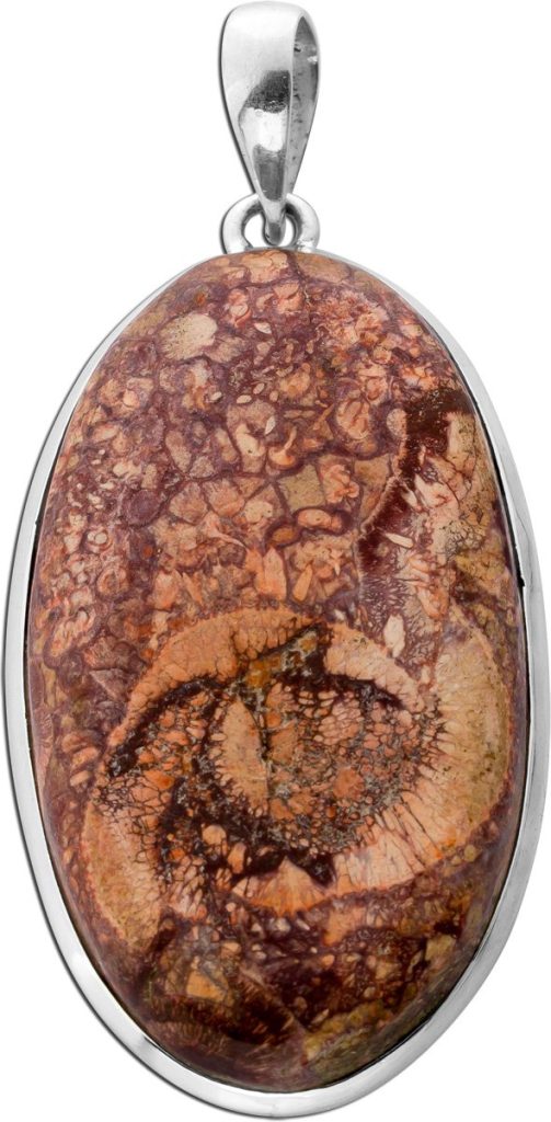 Jaspis Anhänger Silber 925 brauner Vogelaugen Edelstein 30ct